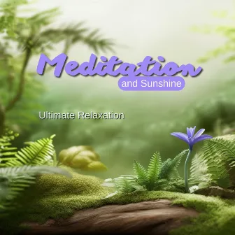 Meditation and Sunshine: Ultimate Relaxation by Summer Meditation