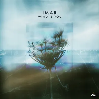 Wind Is You by Imar