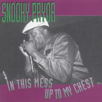 In This Mess Up to My Chest by Snooky Pryor