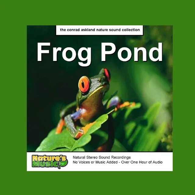 Frogs and Rain Stress Reduction Nature Sounds