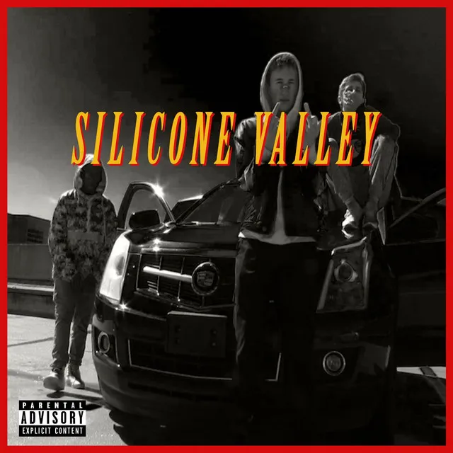 Silicone Valley