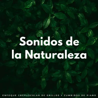 Sonidos De La Naturaleza: Enfoque Crepuscular De Grillos Y Zumbidos De Piano by Tranquilo Piano Jazz Relax