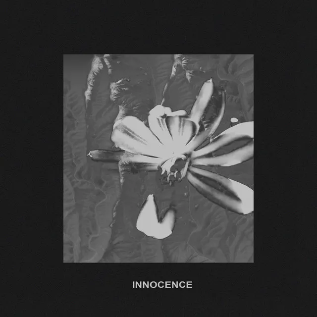 Innocence