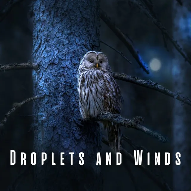 Droplets and Winds: Heavy Rain and Owl Lullabies for Sleep