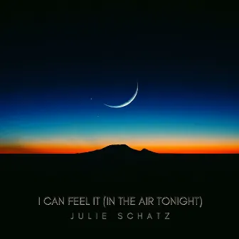 I can feel it (In the air tonight) by Julie Schatz