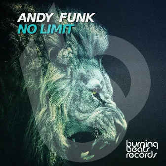 No Limit by Andy Funk