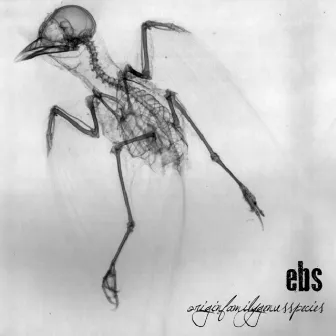 Originfamilygenusspecies by ebs