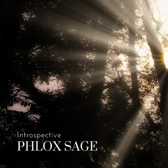 Introspective by Phlox Sage