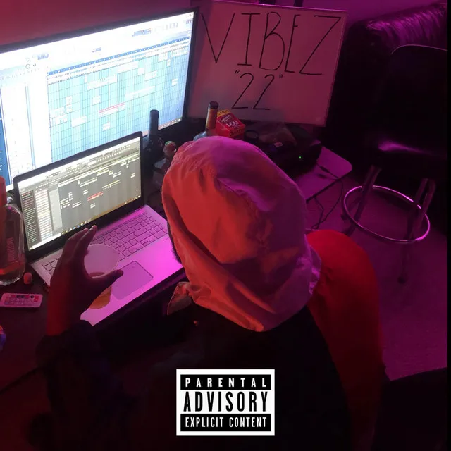 Vibez 22