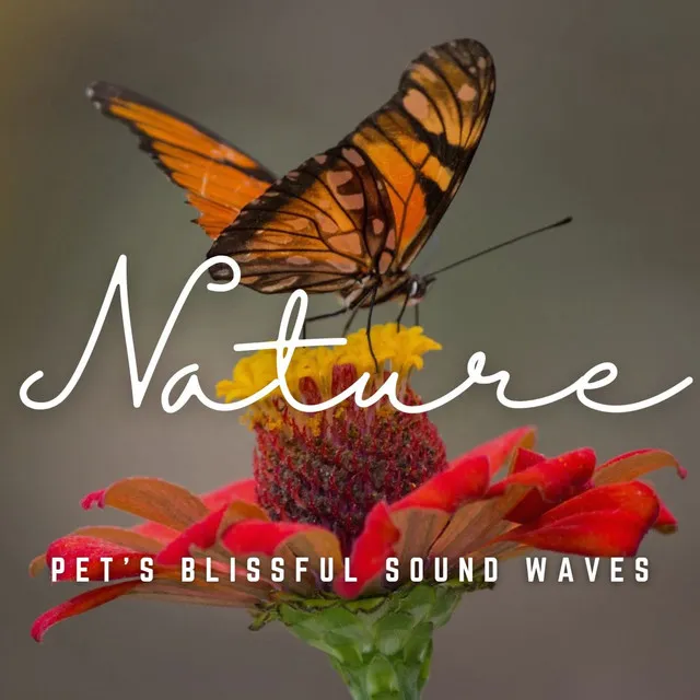 Pet's Blissful Sound Waves