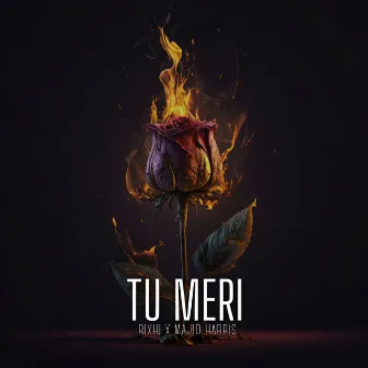 Tu Meri by Majid Harris