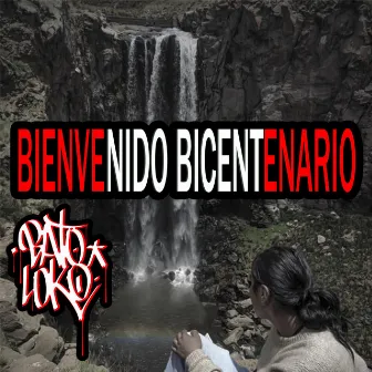 Bienvenido Bicentenario by Unknown Artist