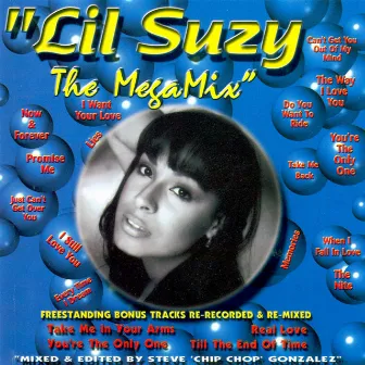 The Mega Mix by Lil Suzy