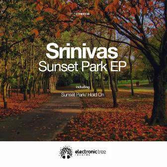 Sunset Park by Srinivas