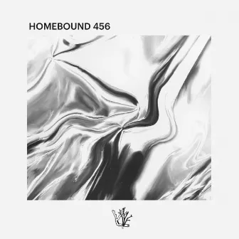 Homebound 456 by Vaarwell