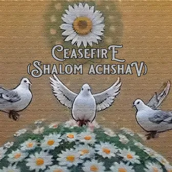 Ceasefire (Shalom Achshav) by Arlan Feiles