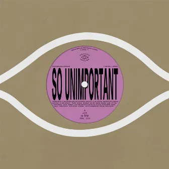 So Unimportant by Ethan Gruska