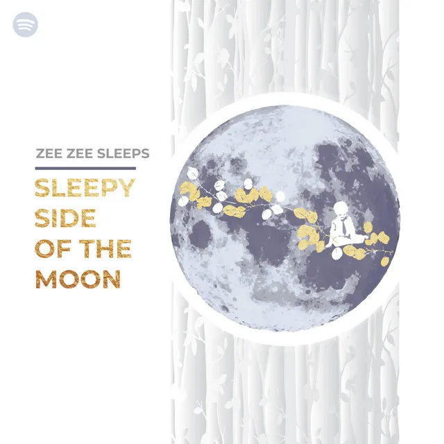 Sleepy Side of the Moon