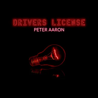 Drivers License by Peter Aaron