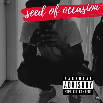 Seed of Occasion by Kee Hill