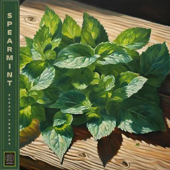 Spearmint by Anthony Church