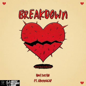 Breakdown by HMG Surgio