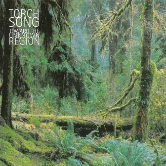 Toward The Unknown Region by TORCH SONG