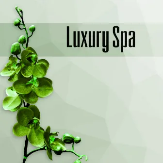 Luxury Spa - Deep Massage, Pacific Ocean Waves, Well Being, Healthy Lifestyle, Natural Spa Balance, Wellness Spa, Background Music,Relaxing Music, Body Harmony by Beautiful Spa Collection