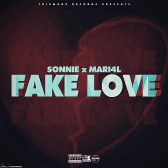 Fake Love (feat. MARI4L) by Sonnie