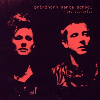 Home Economics by Prinzhorn Dance School