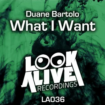 What I Want by Duane Bartolo