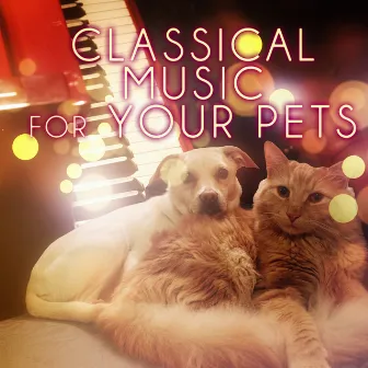 Classical Music for Your Pets – Soothing Music While You Are Out, Relaxing Piano Music for Dogs, Cats & Other Friends, Calming Down Your Pets with Classics, Music for Puppies & Kittens by Pet Music Collection