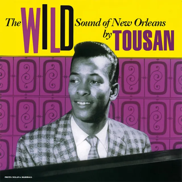 The Wild Sound of New Orleans By Tousan