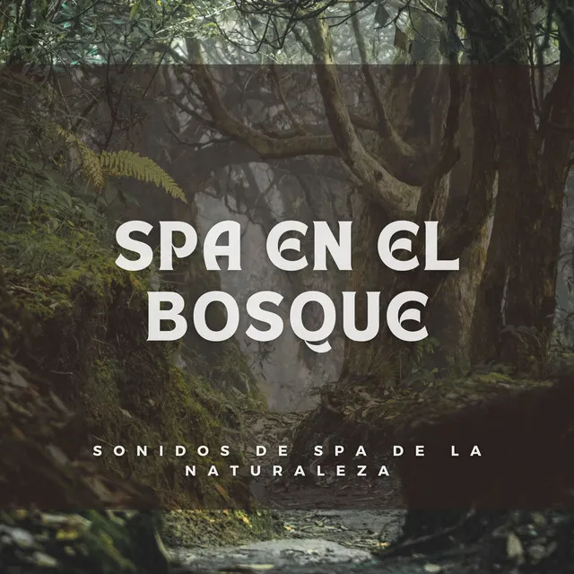 Spa en el Bosque: Sonidos de Spa de la Naturaleza