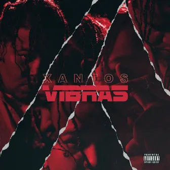 Vibras by Xantos