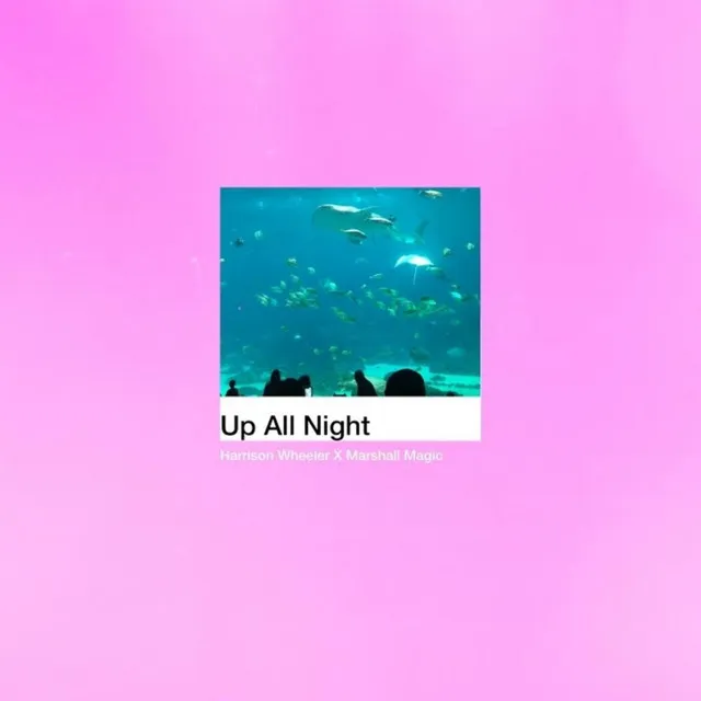 Up All Night