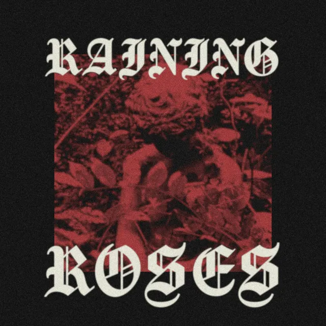 Raining Roses