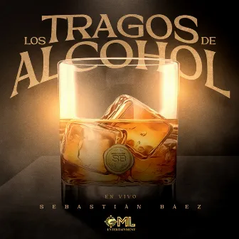 Los Tragos De Alcohol (En Vivo) by Sebastián Báez