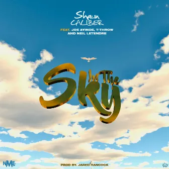 In The Sky by Shawn Caliber