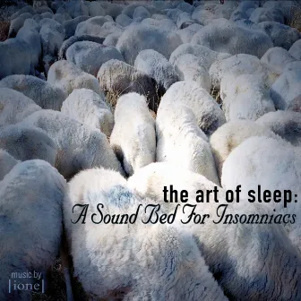 The Art Of Sleep: A Sound Bed For Insomniacs by lionel Cohen