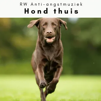 4 Poten: Hond thuis by RW Anti-angstmuziek