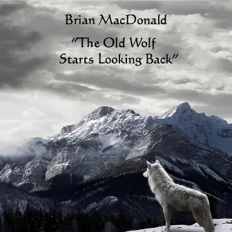 The Old Wolf Starts Looking Back by Brian MacDonald