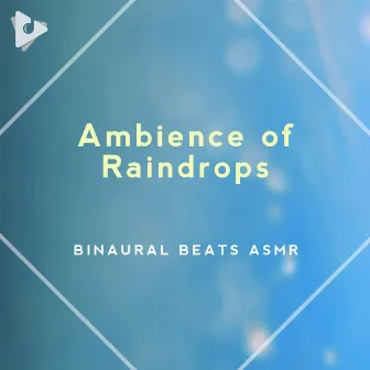 Ambience of Raindrops by ASMR Studying Sounds