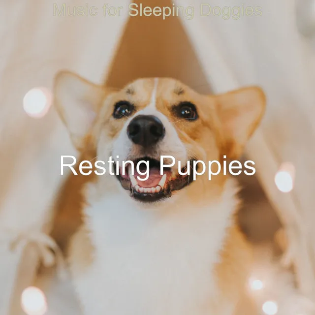 Vibe for Resting Puppies