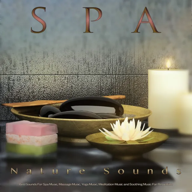 Spa Music Playlist