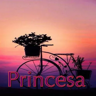 Princesa by A Lonely Pianist