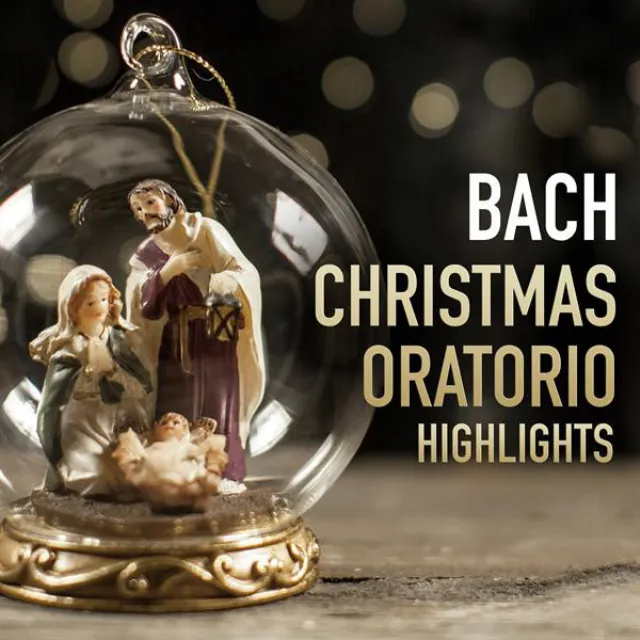 Christmas Oratorio, BWV 248, Cantata 1: Bereite dich, Zion, mit zärtlichen Trieben (Alto)