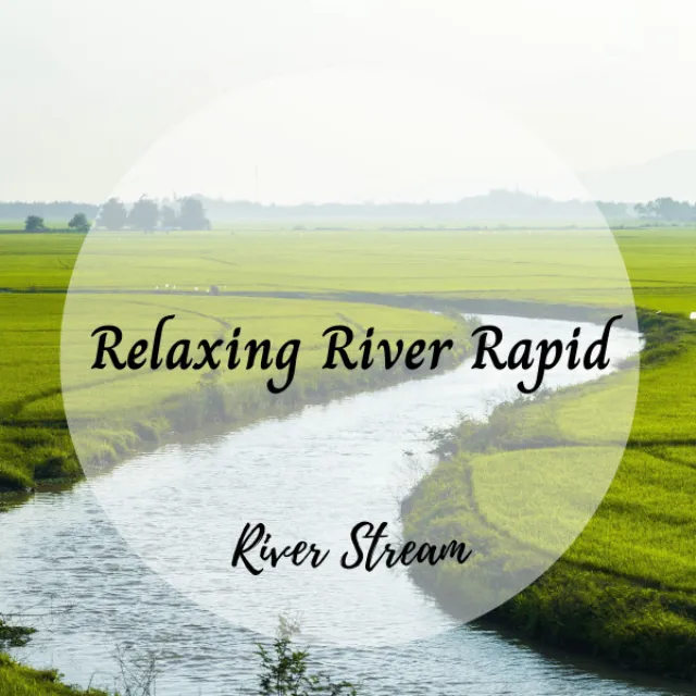 River Stream: Relaxing River Rapid