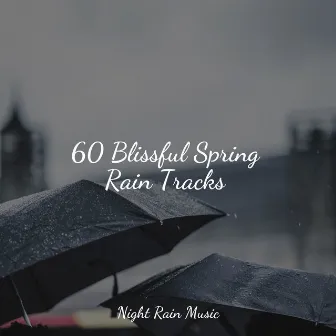 60 Blissful Spring Rain Tracks by Tailormade Ocean Waves