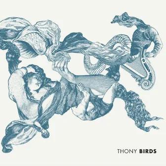 Birds by Thony